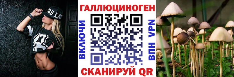 Галлюциногенные грибы прущие грибы  Отрадный 