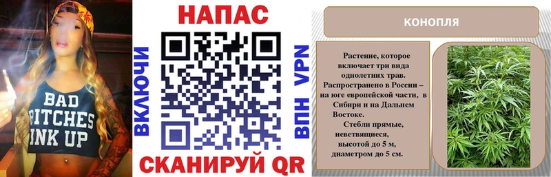 Марихуана Bruce Banner  Отрадный 